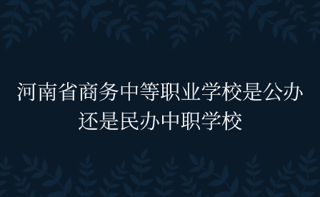 河南省商務(wù)中等職業(yè)學校是公辦還是民辦中職學校